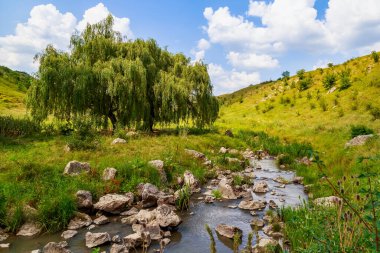 Dağ nehri ya da vadideki taşlı akarsu. Metin veya harf için kopyalama alanı olan doğa arkaplanı.