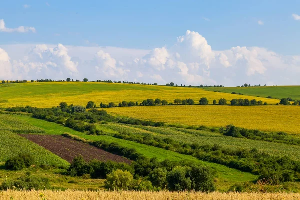Natura Collinare Dell Europa Orientale Con Terreni Fertili Agricoltura Paesaggio — Foto Stock