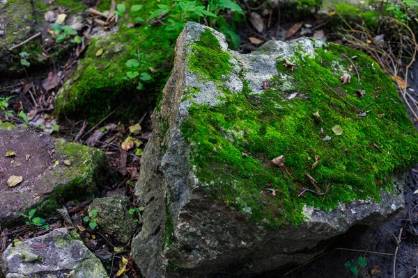 Nature Sauvage Rocheuse Montagneuse Europe Est Arrière Plan Paysage Avec — Photo