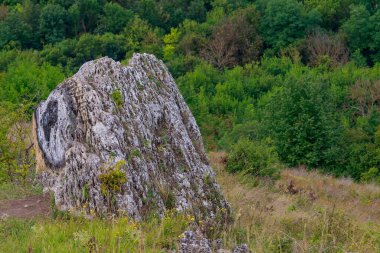 Doğu Avrupa 'nın vahşi kayalık ve dağlık doğası. Metin için kopya alanı olan peyzaj arkaplanı. Seçici odaklanma, uyumlu. Naslavcha Köyü, Moldova 'ya hoş geldiniz..