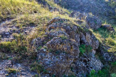 Doğu Avrupa 'nın vahşi kayalık ve dağlık doğası. Metin için kopya alanı olan peyzaj arkaplanı. Seçici odaklanma, uyumlu. Coban ya da Cobani köyü, Moldova 'ya hoş geldiniz..