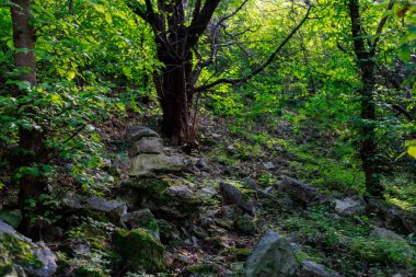 Doğu Avrupa 'nın vahşi kayalık ve dağlık doğası. Metin için kopya alanı olan peyzaj arkaplanı. Seçici odaklanma, uyumlu. Tipovo veya Tipova köyü, Moldova 'ya hoş geldiniz..