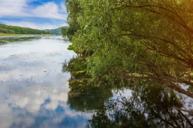 Nehir kıyısında. Metin veya harf için kopyalama alanı olan doğa arkaplanı.