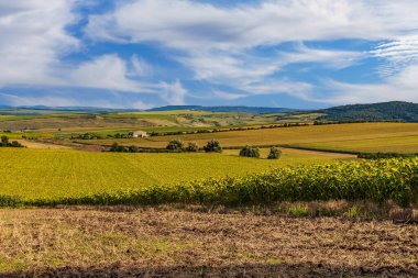 Tarım tarlaları, verimli topraklar ve tarım arazileri. Metin veya yazı için kopyalama alanı olan arkaplan