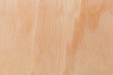 Afrika 'daki bir ağacın açık dokulu kesik yüzeyi. Ahşap zemin ya da tasarım için boş. Metin veya etiketler için bir grafik kaynağı ya da altında yatan.