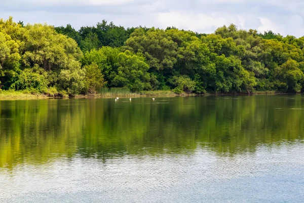 Geniş nehir. Metin veya harfler için kopya alanı olan Doğu Avrupa arka planı. Balık tutmak ve rafting yapmak için ideal. Bir turistin gözlerinden bak.