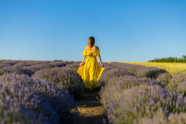 Beautiful Pretty Young Woman Yellow Dress Relaxes Enjoys Walk Lavender — Stock Photo, Image