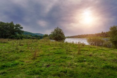 Nehrin kıyısında kuş tüyü. Arkaplan, Doğa arkaplanı veya metin için boşluk kopyala