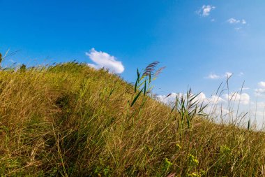 Doğu Avrupa 'nın dağlık doğası. Metin veya yazıtlar için kopyalama alanı olan arkaplan