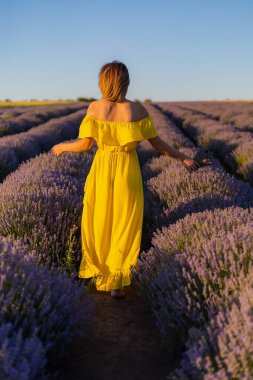 Sarı elbiseli güzel ve güzel genç bir kadın gün batımında lavanta tarlasında yürüyüş yapmaktan hoşlanıyor. Arka plan