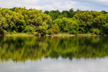 Geniş nehir. Metin veya harfler için kopya alanı olan Doğu Avrupa arka planı. Balık tutmak ve rafting yapmak için ideal. Bir turistin gözlerinden bak.