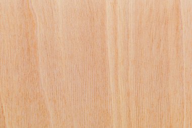 Afrika 'daki bir ağacın açık dokulu kesik yüzeyi. Ahşap zemin ya da tasarım için boş. Metin veya etiketler için bir grafik kaynağı ya da altında yatan.