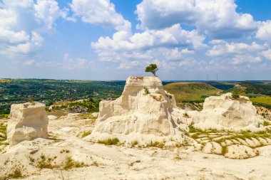 Vahşi doğadaki kireçtaşı dağı. Doğal taşla kaplı güzel bir manzara. Antik Sarmatya Denizi 'nin dibinde.