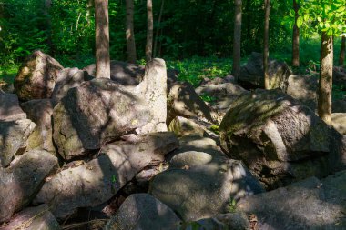 Doğu Avrupa 'nın vahşi kayalık ve dağlık doğası. Metin için kopya alanı olan peyzaj arkaplanı. Seçici odaklanma, tonlama.