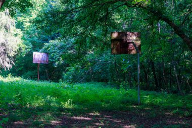 Kıyamet sonrası doğa insanoğlunun kentsel ortamını fethetti. Metin veya yazı için kopyalama alanı olan arkaplan