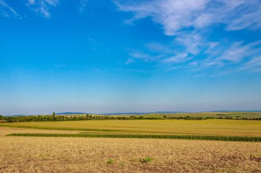 Tarım tarlaları, verimli topraklar ve tarım arazileri. Metin veya yazı için kopyalama alanı olan arkaplan