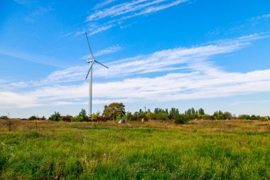 Elektrik üretimi için yel değirmenleri. Yeşil enerji konsepti. Metin için kopyalama alanı olan arkaplan. Şehrin dışındaki modern çiftlik..