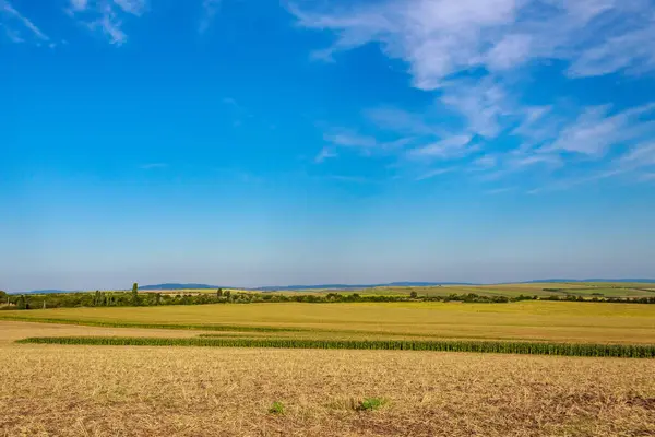 Landbouwvelden Met Vruchtbare Grond Een Agrarisch Land Achtergrond Met Kopieerruimte — Stockfoto