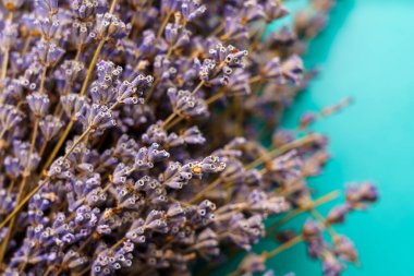 Seçici odaklı lavanta çiçeklerinden oluşan kurutulmuş bitkisel bitki örtüsü ve metin veya harf için kopyalama alanı.