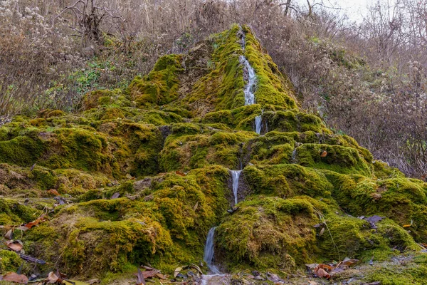 大自然的春天 矿泉水在野外饮用 石头长满苔藓 带有文本复制空间的背景或背景 — 图库照片