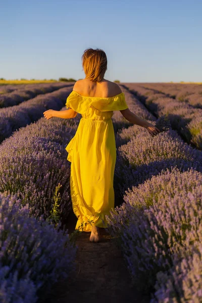 Beautiful Pretty Young Woman Yellow Dress Relaxes Enjoys Walk Lavender — Stock Photo, Image