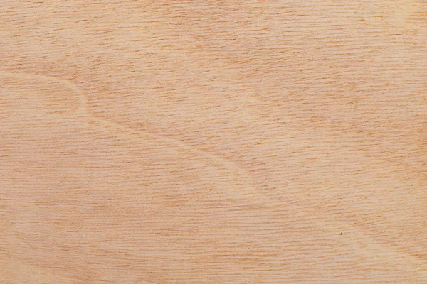 Легка Груба Текстурована Поверхня Африканського Дерева Дерев Яний Фон Або — стокове фото