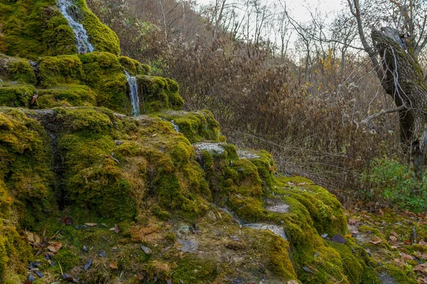 Přírodní Pramen Minerální Pitnou Vodou Volné Přírodě Kameny Zarostlými Mechem — Stock fotografie