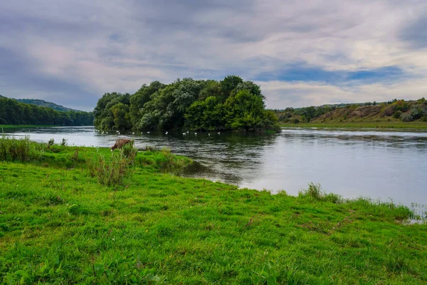 Nehir kıyısında. Metin veya harf için kopyalama alanı olan doğa arkaplanı.