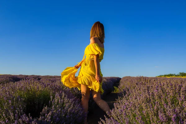 Beautiful Pretty Young Woman Yellow Dress Relaxes Enjoys Walk Lavender — Stock Photo, Image