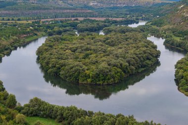 Nehirde kalp şeklinde yeşil ağaçlardan oluşan bir ada. Metin için kopyalama alanı olan arkaplan