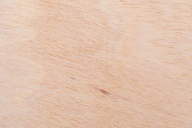 Afrika 'daki bir ağacın açık dokulu kesik yüzeyi. Ahşap zemin ya da tasarım için boş. Metin veya etiketler için bir grafik kaynağı ya da altında yatan.