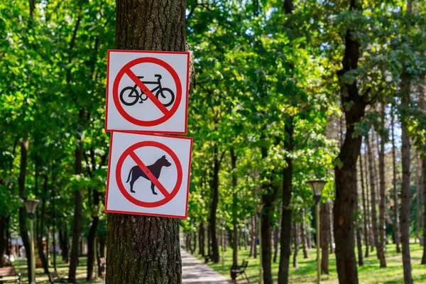 Znaki Zasadami Postępowania Parku Publicznym Tło Miejscem Kopiowania Tekstu — Zdjęcie stockowe