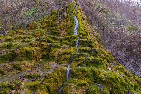 苔で覆われた石で野生のミネラル飲料水と天然温泉 テキストのコピースペースを持つ背景または背景 — ストック写真