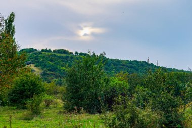 Tipik Moldova yeşil tarım ülkesi Moldova Cumhuriyeti manzarası. Metin veya yazı için kopyalama alanı olan arkaplan