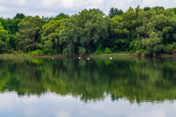 Geniş nehir. Metin veya harfler için kopya alanı olan Doğu Avrupa arka planı. Balık tutmak ve rafting yapmak için ideal. Bir turistin gözlerinden bak.