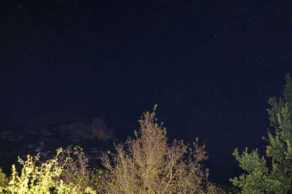 Noite Estrelada Agosto Estrelas Céu Fundo Com Espaço Cópia Para — Fotografia de Stock