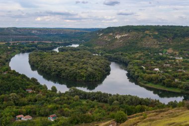 Nehirde kalp şeklinde yeşil ağaçlardan oluşan bir ada. Metin için kopyalama alanı olan arkaplan