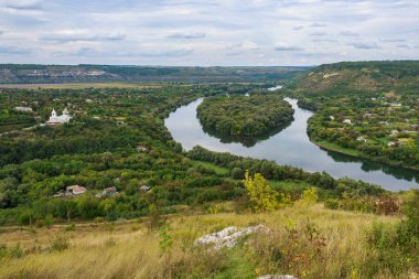 Nehirde kalp şeklinde yeşil ağaçlardan oluşan bir ada. Metin için kopyalama alanı olan arkaplan