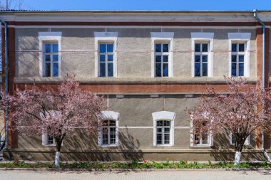 Çiçek açan ağaçlarla dolu bir bahar şehri. Metin veya yazı için kopyalama alanı olan arkaplan