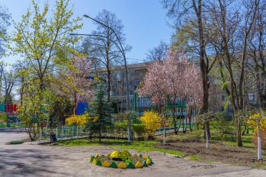 Çiçek açan ağaçlarla dolu bir bahar şehri. Metin veya yazı için kopyalama alanı olan arkaplan