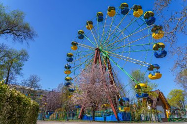 Çiçek açan ağaçlarla dolu bir bahar şehri. Metin veya yazı için kopyalama alanı olan arkaplan