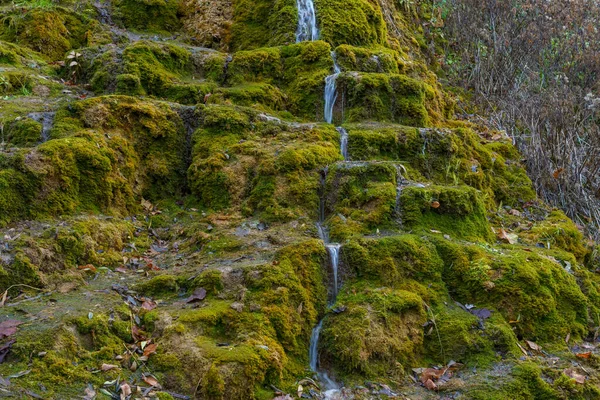 Natuurlijke Bron Met Mineraal Drinkwater Het Wild Met Stenen Begroeid — Stockfoto