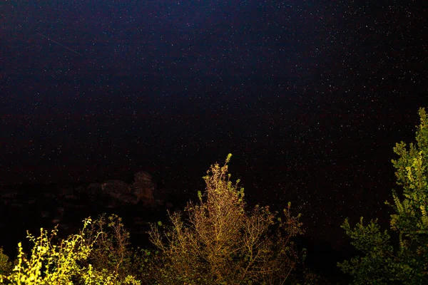 Noche Estrellada Agosto Estrellas Cielo Fondo Con Espacio Copia Para — Foto de Stock