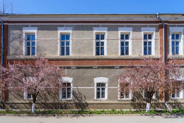 Frühlingsstadt Mit Blühenden Bäumen Hintergrund Mit Kopierraum Für Text Oder — Stockfoto