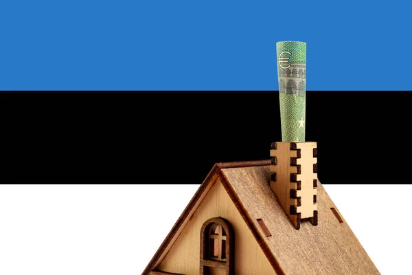 Euro Bill Chimney Wooden Toy Symbolic House Background Estonia Flag — Foto Stock