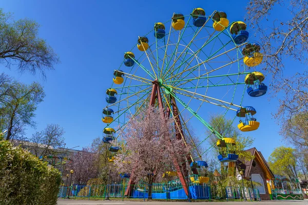 Frühlingsstadt Mit Blühenden Bäumen Hintergrund Mit Kopierraum Für Text Oder — Stockfoto