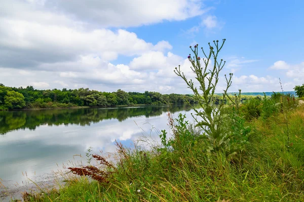 Geniş nehir. Metin veya harfler için kopya alanı olan Doğu Avrupa arka planı. Balık tutmak ve rafting yapmak için ideal. Bir turistin gözlerinden bak.