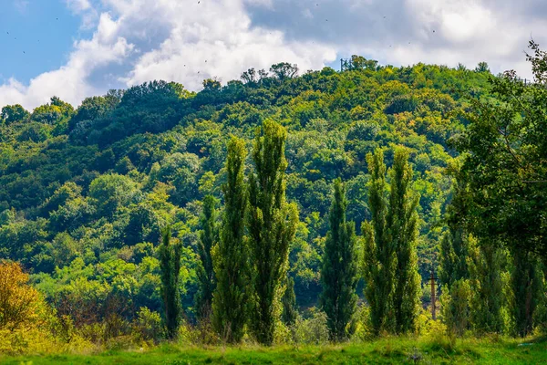 Typowy Mołdawski Krajobraz Zielonej Agrarnej Republiki Mołdowy Tło Miejscem Kopiowania — Zdjęcie stockowe