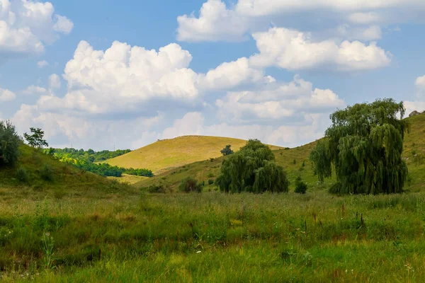 Edinet Moldova Toltry. Dağlık kireçtaşı sırtı. Metin veya harfler için kopya alanı olan Doğu Avrupa arka planı. Tepe alanı.