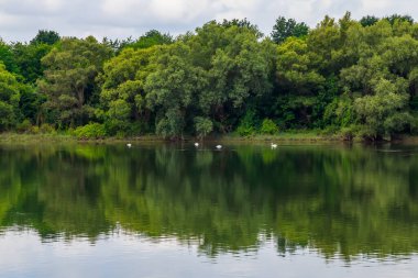 Geniş nehir. Metin veya harfler için kopya alanı olan Doğu Avrupa arka planı. Balık tutmak ve rafting yapmak için ideal. Bir turistin gözlerinden bak.